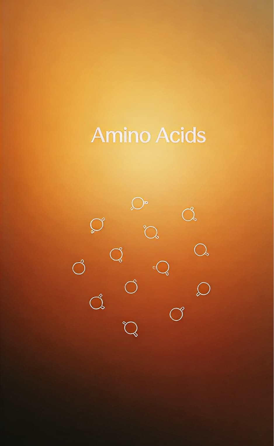 Amino acids