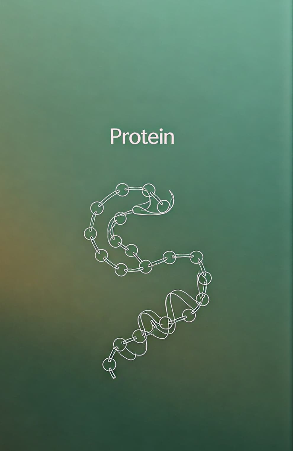 Protein
