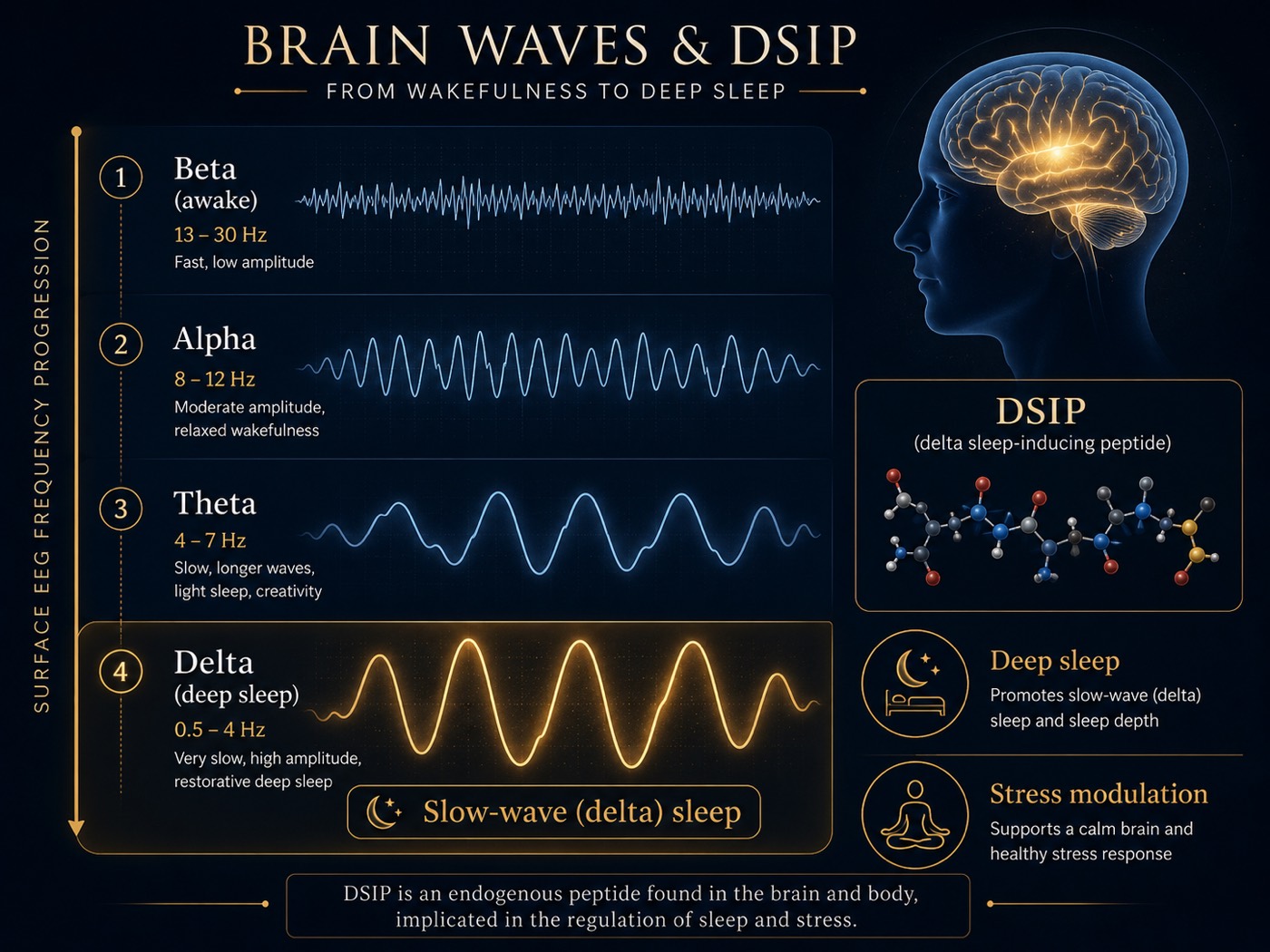 The Body's Own Deep-Sleep Signal