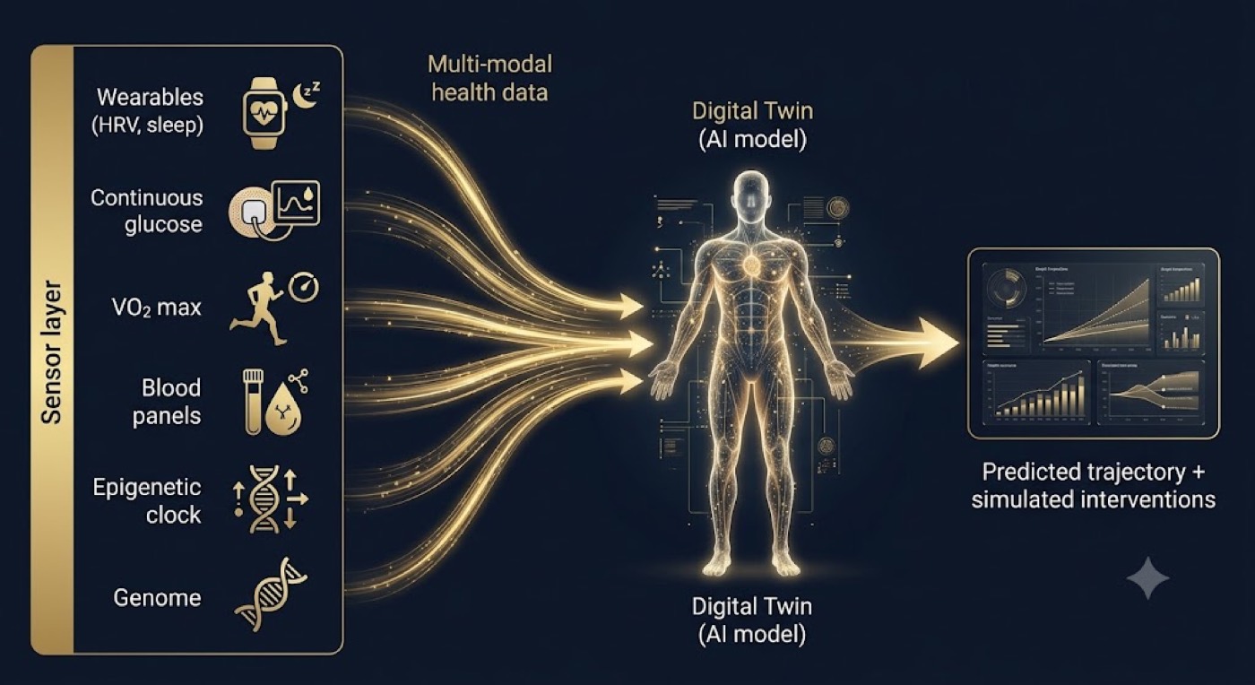 Fusing the Signals Into a Digital Twin