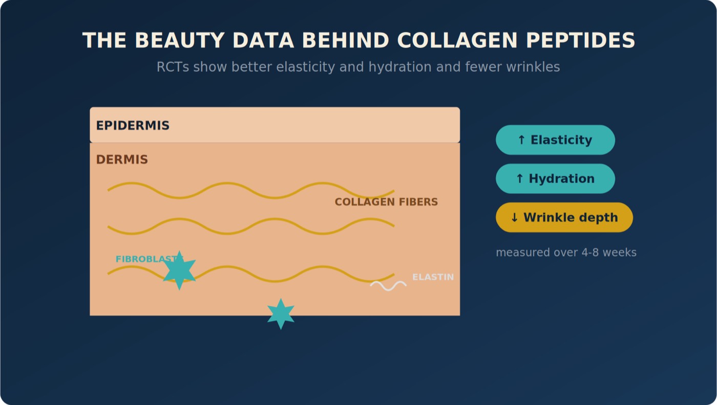 The Beauty Data Behind Collagen Peptides
