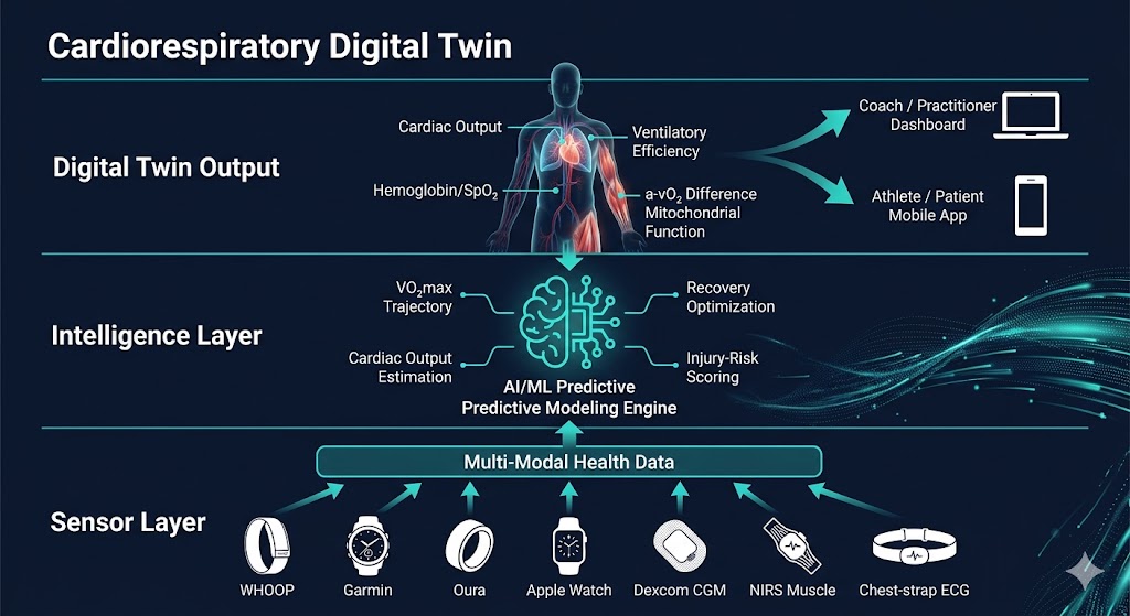 Cardiorespiratory Digital Twin Architecture