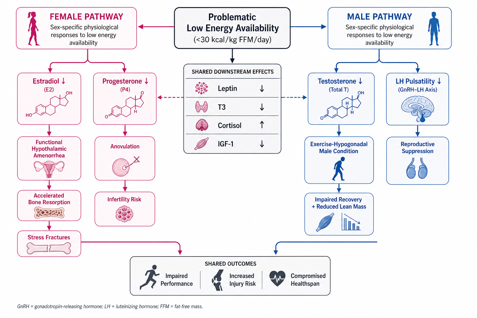 Sex-specific endocrine pathways