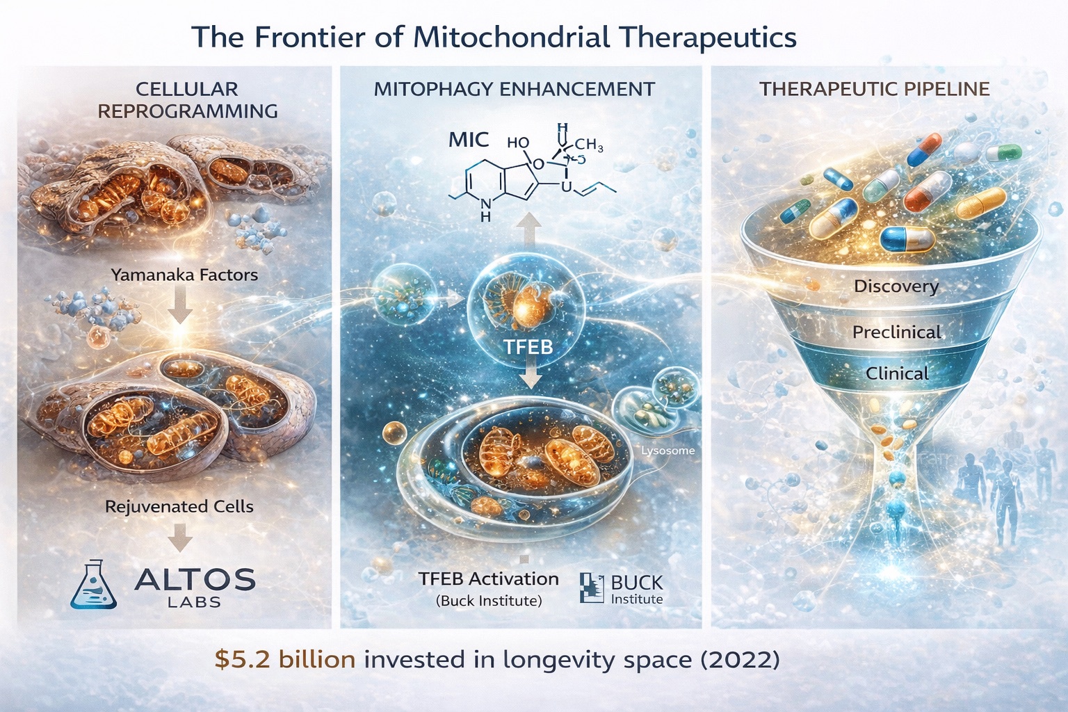 The therapeutic frontier in mitochondrial medicine