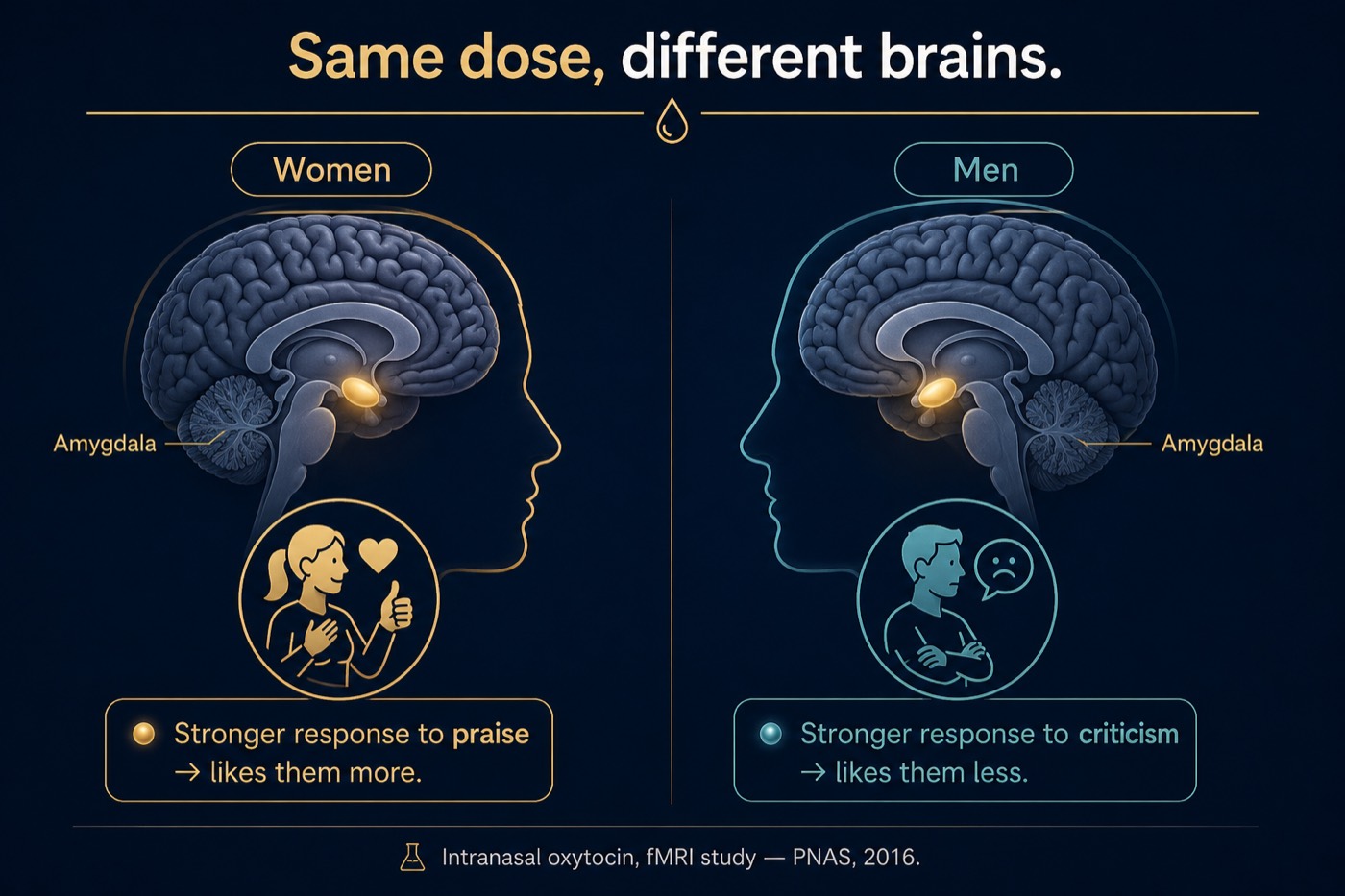 The Same Dose, Two Different Brains