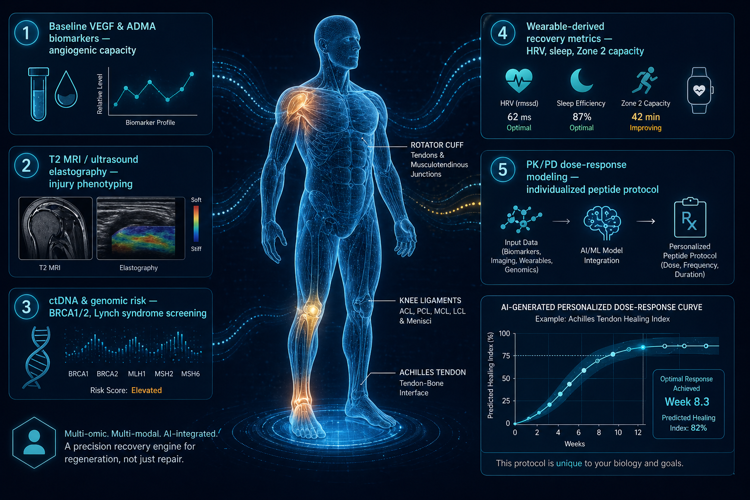 AI-powered digital twin framework for personalized peptide therapy showing VEGF biomarkers, endothelial function testing, cancer risk stratification, injury phenotyping, and precision dose-finding for BPC-157 and TB-500 regenerative medicine protocols